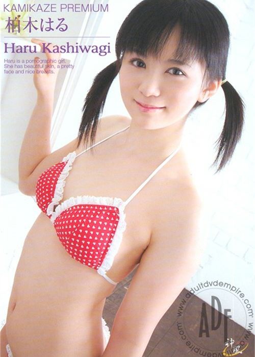 Kamikaze Premium 68: Haru Kashiwagi cover