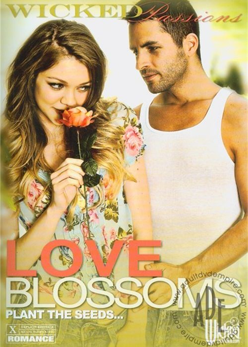 Love Blossoms cover