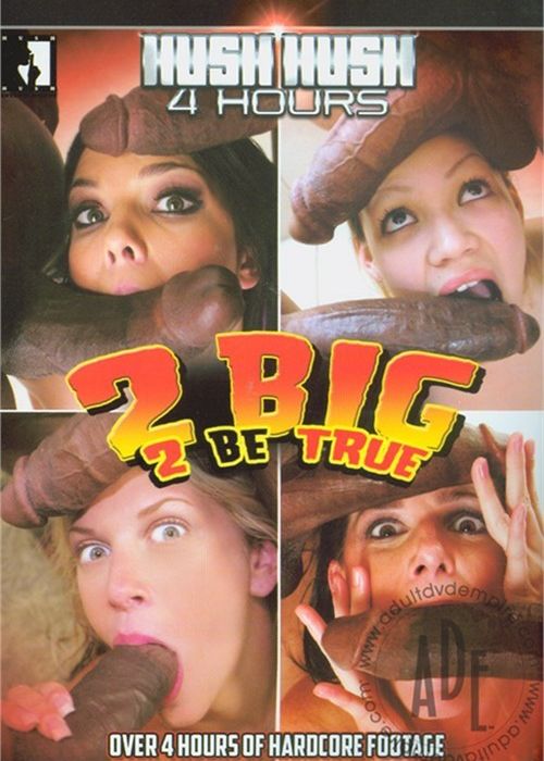 2 Big 2 Be True (4 Hours) cover