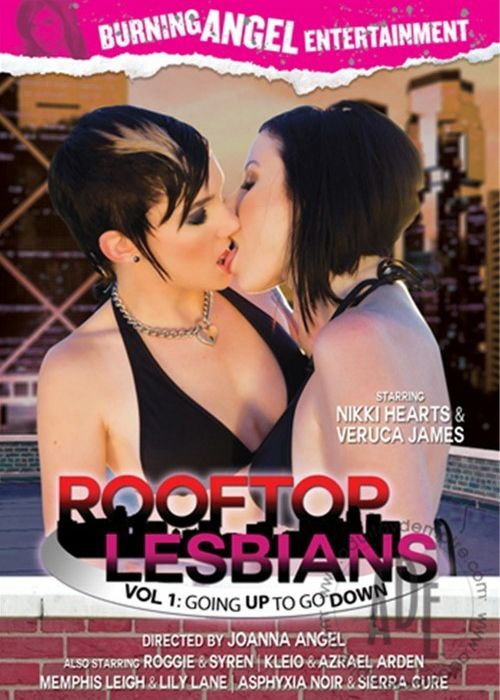 Rooftop Lesbians Vol. 1: Going Up To Go Down cover