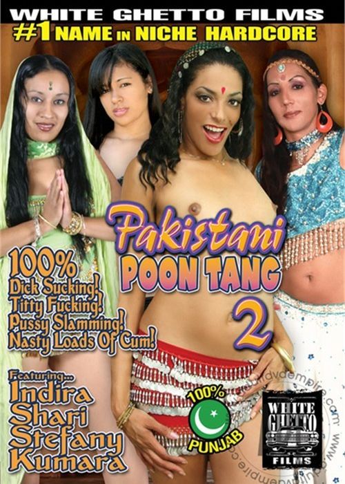 Pakistani Poon Tang 2 cover