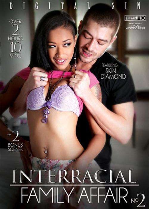 Interracial Family Affair No. 2 cover