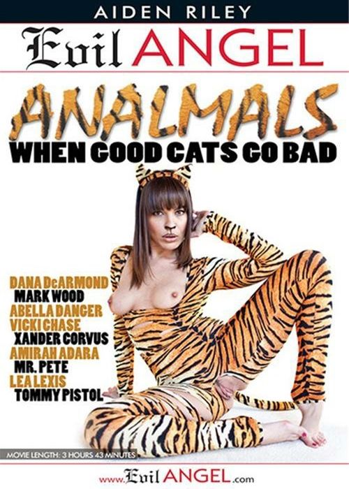 Analmals cover