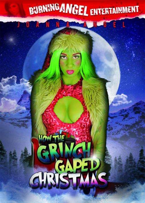 How The Grinch Gaped Christmas cover