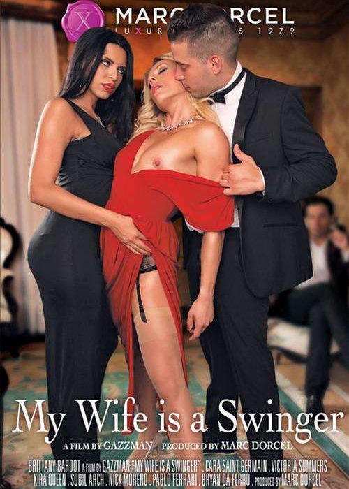 My Wife Is A Swinger cover