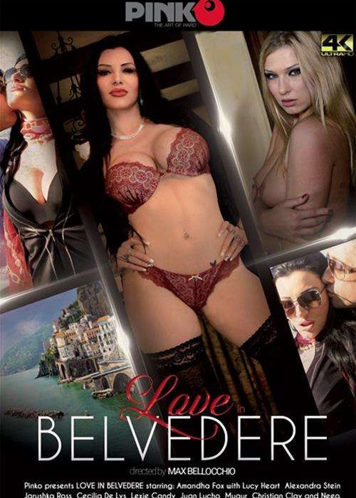 Love In Belvedere cover