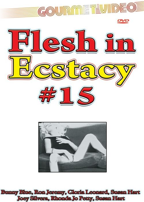 Flesh in Ecstacy #15 cover