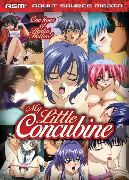My Little Concubine cover