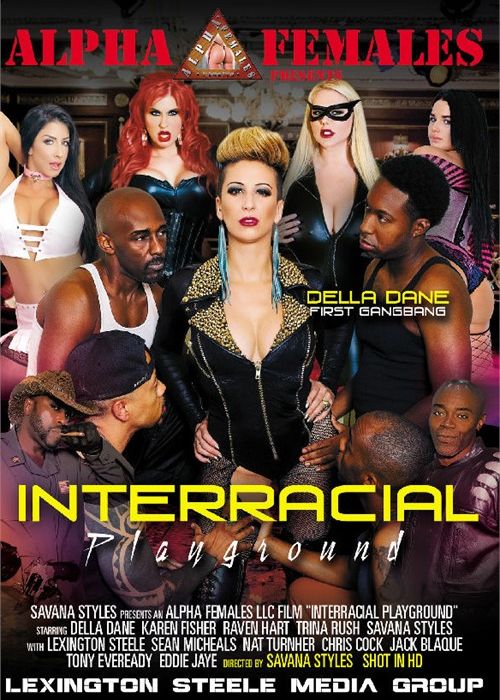 Interracial Playground cover