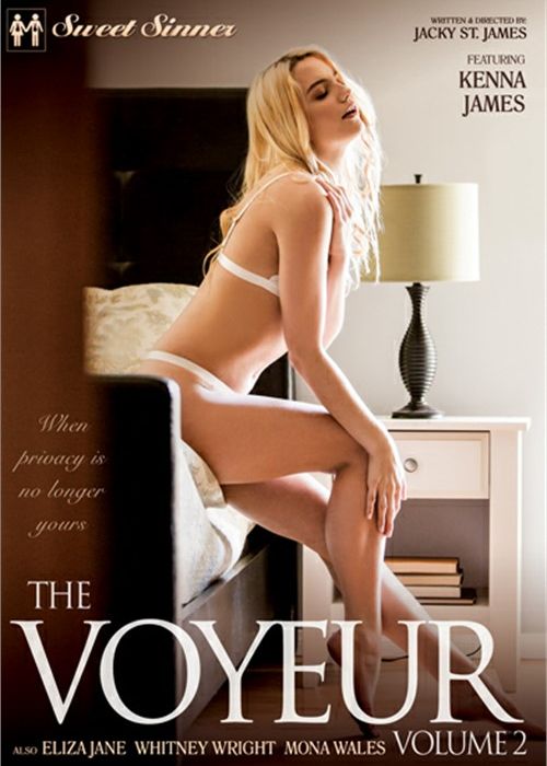 Voyeur Vol. 2, The cover