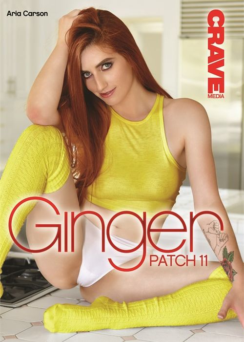 Ginger Patch 11 cover