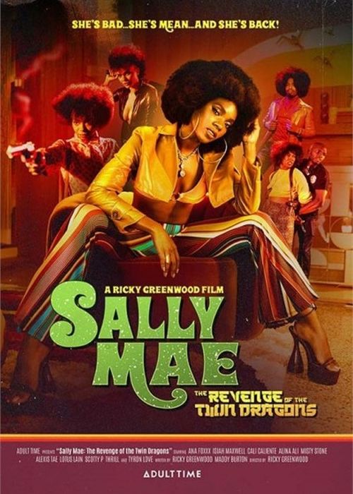 Sally Mae: Revenge Of The Twin Dragons, The cover