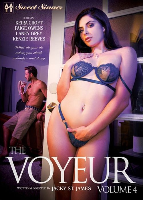 Voyeur Vol. 4, The cover
