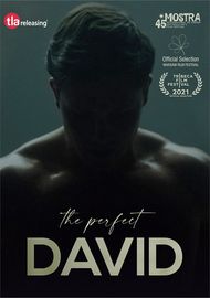 Perfect David, The Boxcover