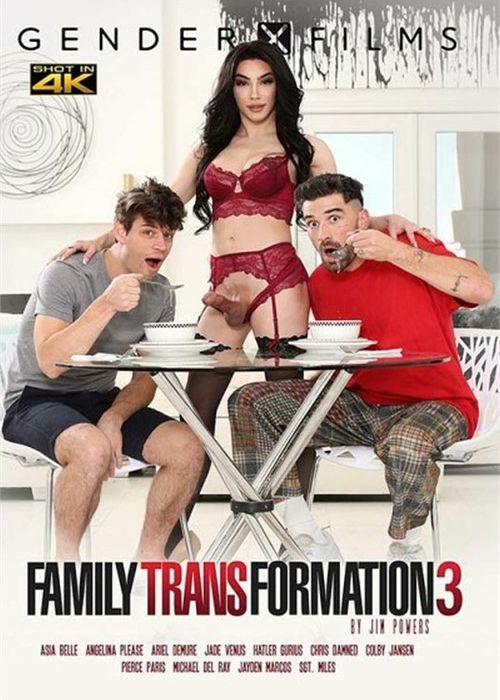 Family Transformation 3 cover