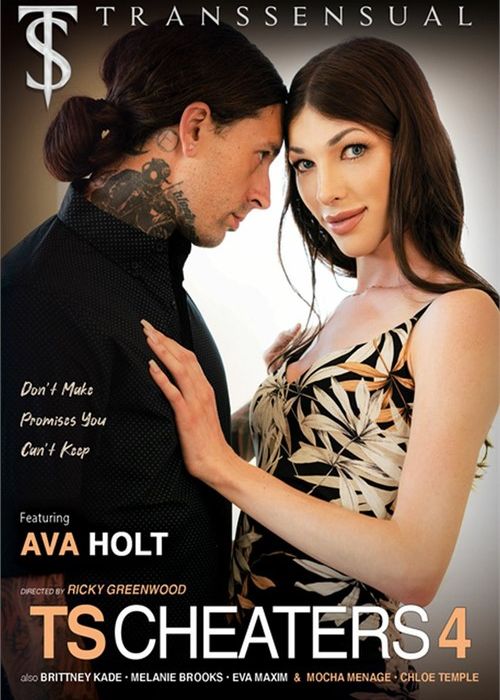 TS Cheaters 4 cover