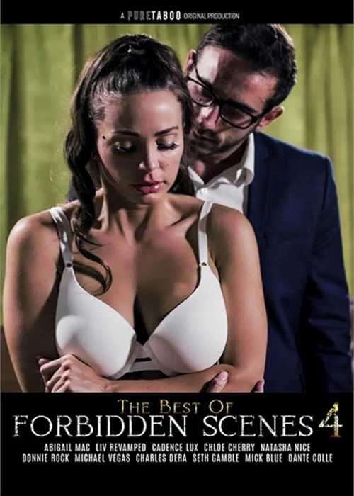 Best of Forbidden Scenes 4, The cover
