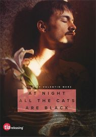 At Night All the Cats Are Black Boxcover