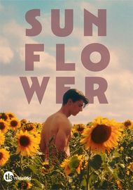 Sunflower Boxcover